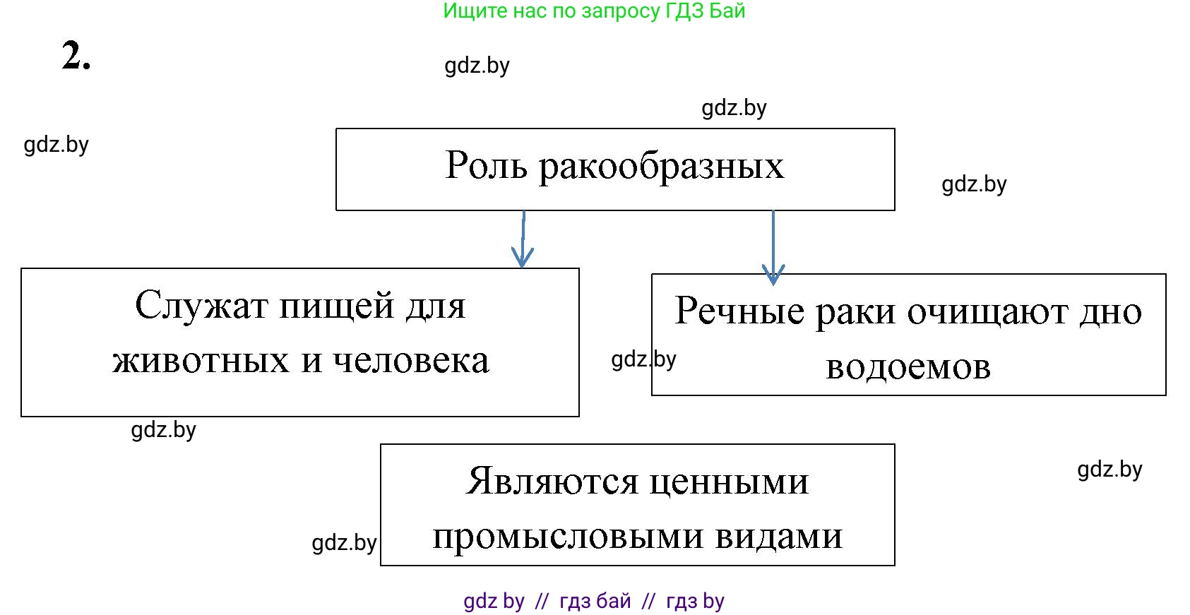 Биология, 8 класс рабочая тетрадь, автор: Лисов Николай Дмитриевич, издательство Аверсэв, Минск, 2018, зелёного цвета, страница 38, номер 2, Решение