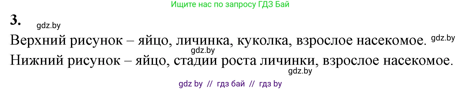 Биология, 8 класс рабочая тетрадь, автор: Лисов Николай Дмитриевич, издательство Аверсэв, Минск, 2018, зелёного цвета, страница 47, номер 3, Решение
