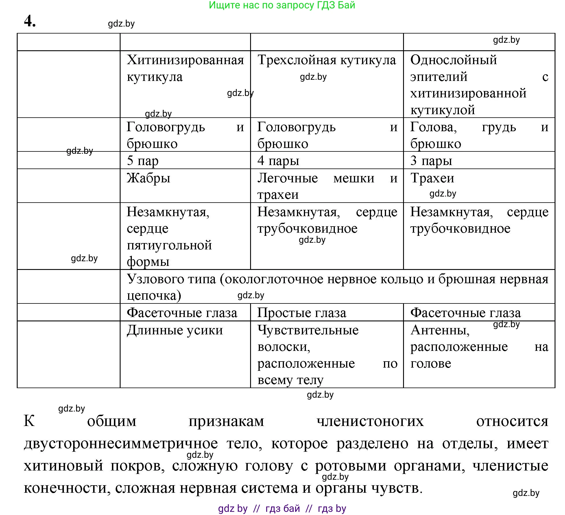 Биология, 8 класс рабочая тетрадь, автор: Лисов Николай Дмитриевич, издательство Аверсэв, Минск, 2018, зелёного цвета, страница 58, номер 4, Решение
