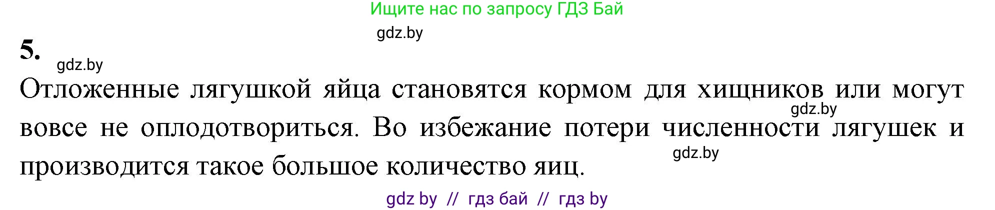 Биология, 8 класс рабочая тетрадь, автор: Лисов Николай Дмитриевич, издательство Аверсэв, Минск, 2018, зелёного цвета, страница 79, номер 5, Решение