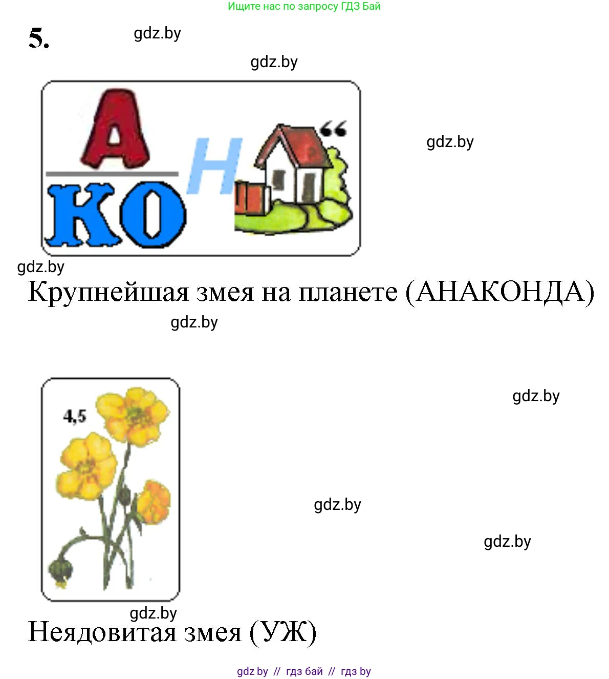 Биология, 8 класс рабочая тетрадь, автор: Лисов Николай Дмитриевич, издательство Аверсэв, Минск, 2018, зелёного цвета, страница 80, номер 5, Решение
