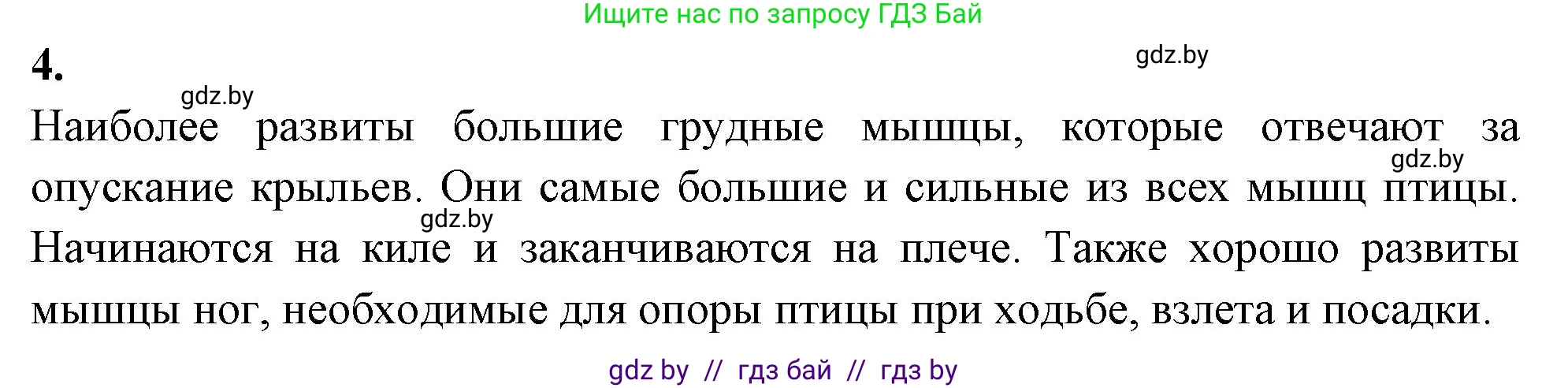 Биология, 8 класс рабочая тетрадь, автор: Лисов Николай Дмитриевич, издательство Аверсэв, Минск, 2018, зелёного цвета, страница 82, номер 4, Решение