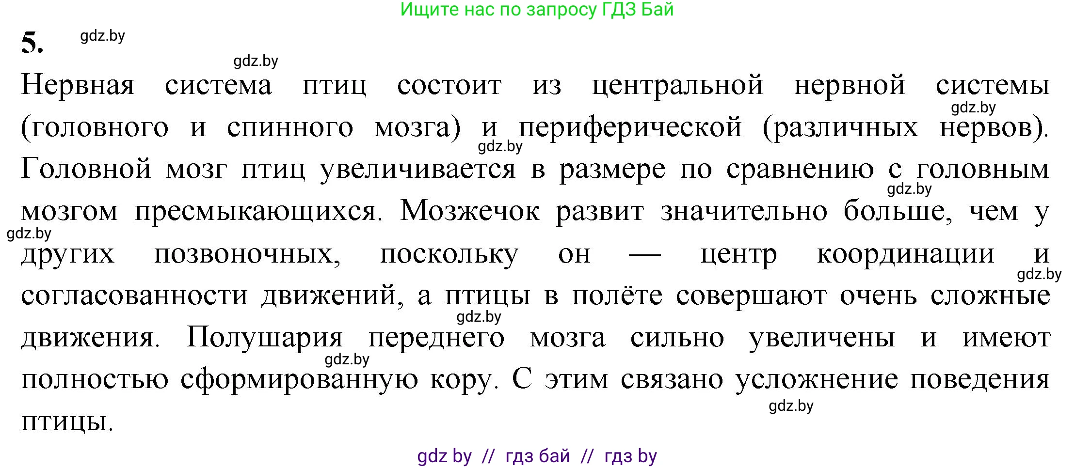 Биология, 8 класс рабочая тетрадь, автор: Лисов Николай Дмитриевич, издательство Аверсэв, Минск, 2018, зелёного цвета, страница 89, номер 5, Решение