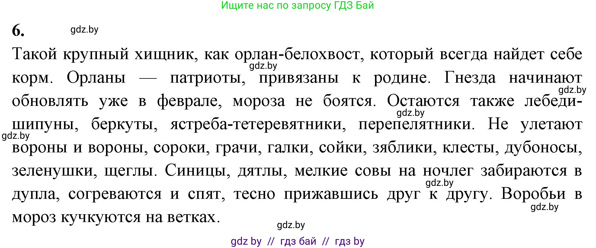 Биология, 8 класс рабочая тетрадь, автор: Лисов Николай Дмитриевич, издательство Аверсэв, Минск, 2018, зелёного цвета, страница 91, номер 6, Решение