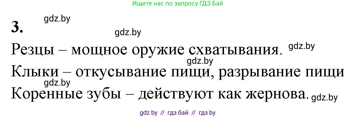 Биология, 8 класс рабочая тетрадь, автор: Лисов Николай Дмитриевич, издательство Аверсэв, Минск, 2018, зелёного цвета, страница 104, номер 3, Решение