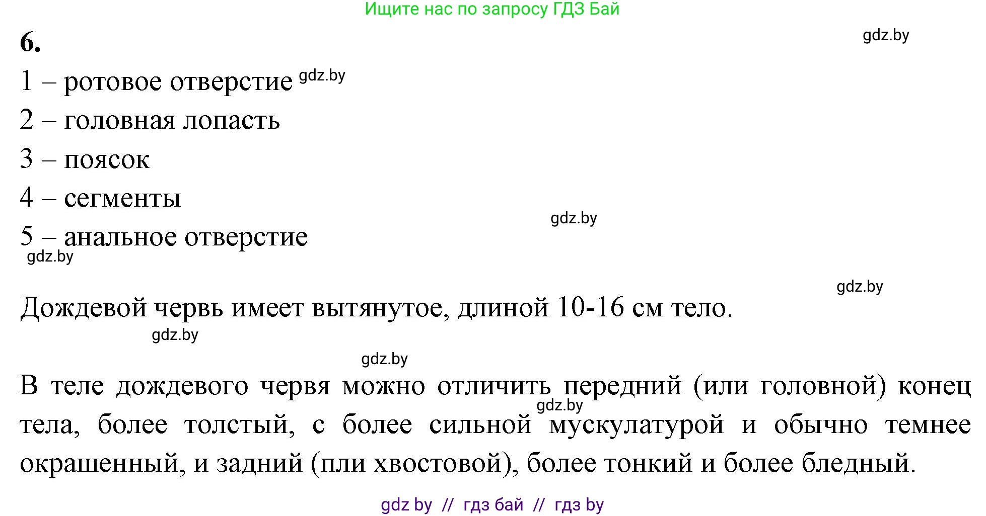 Биология, 8 класс рабочая тетрадь, автор: Лисов Николай Дмитриевич, издательство Аверсэв, Минск, 2018, зелёного цвета, страница 16, номер 6, Решение
