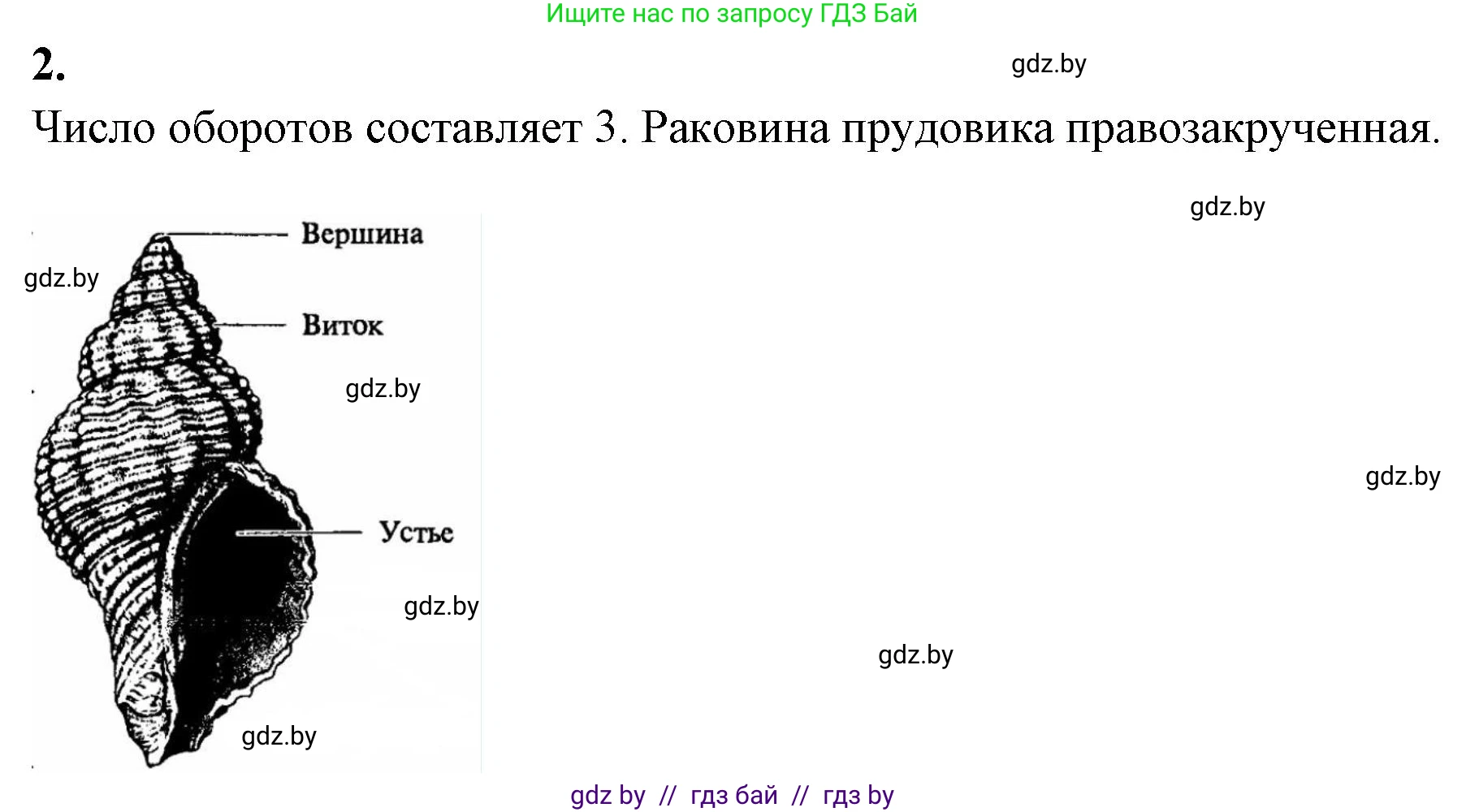 Биология, 8 класс рабочая тетрадь, автор: Лисов Николай Дмитриевич, издательство Аверсэв, Минск, 2018, зелёного цвета, страница 23, номер 2, Решение