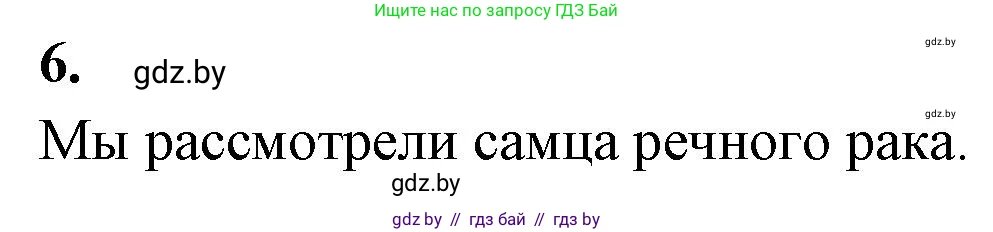Биология, 8 класс рабочая тетрадь, автор: Лисов Николай Дмитриевич, издательство Аверсэв, Минск, 2018, зелёного цвета, страница 36, номер 6, Решение