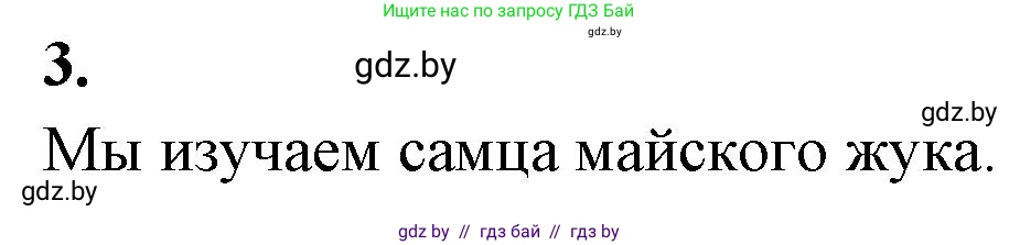 Биология, 8 класс рабочая тетрадь, автор: Лисов Николай Дмитриевич, издательство Аверсэв, Минск, 2018, зелёного цвета, страница 43, номер 3, Решение