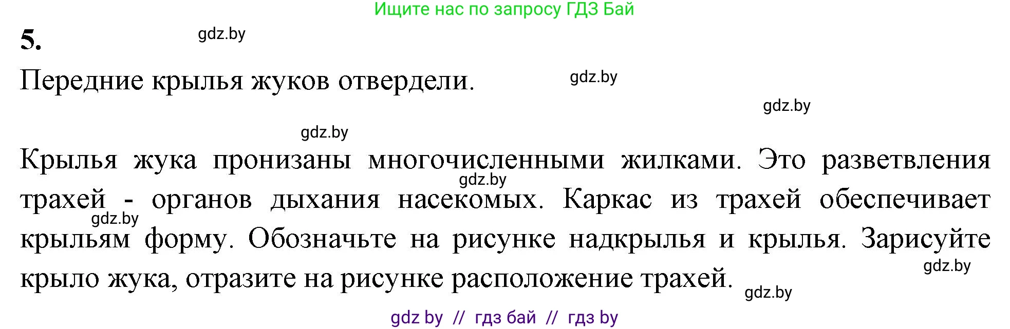 Биология, 8 класс рабочая тетрадь, автор: Лисов Николай Дмитриевич, издательство Аверсэв, Минск, 2018, зелёного цвета, страница 44, номер 5, Решение
