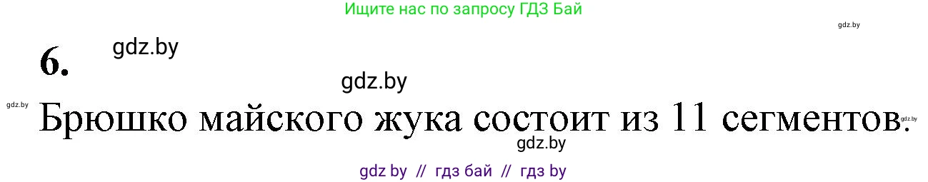 Биология, 8 класс рабочая тетрадь, автор: Лисов Николай Дмитриевич, издательство Аверсэв, Минск, 2018, зелёного цвета, страница 45, номер 6, Решение