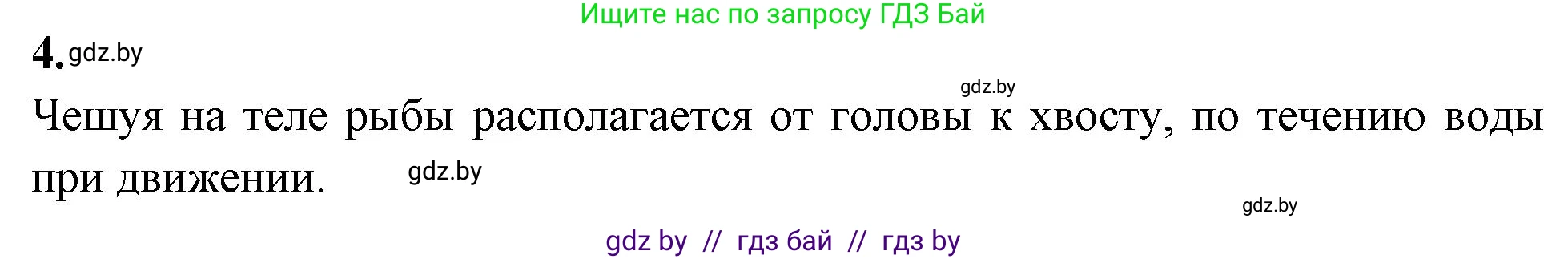 Биология, 8 класс рабочая тетрадь, автор: Лисов Николай Дмитриевич, издательство Аверсэв, Минск, 2018, зелёного цвета, страница 62, номер 4, Решение