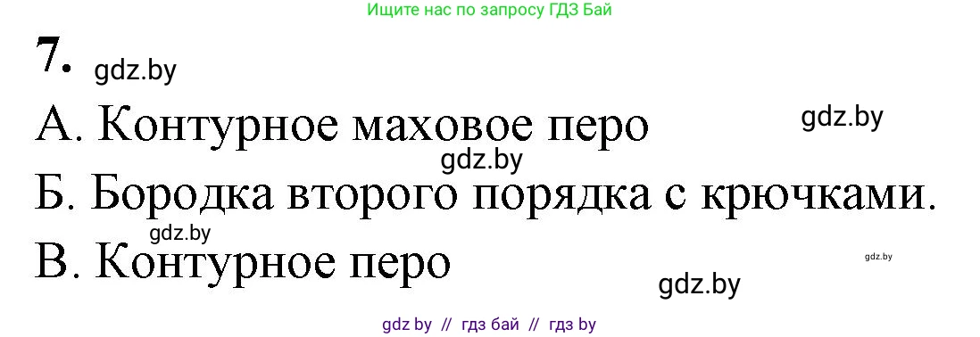 Биология, 8 класс рабочая тетрадь, автор: Лисов Николай Дмитриевич, издательство Аверсэв, Минск, 2018, зелёного цвета, страница 85, номер 7, Решение