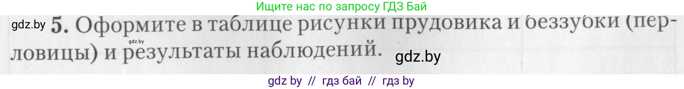 Биология, 8 класс тетрадь для экскусрий, лабораторных и практических работ, автор: Рогожников Олег Николаевич, издательство Сэр-Вит, Минск, 2021, сиреневого цвета, страница 7, номер 5, Условие