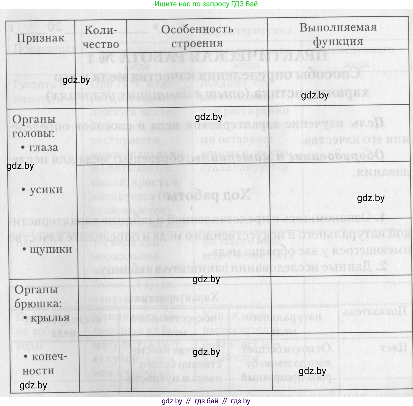 Биология, 8 класс тетрадь для экскусрий, лабораторных и практических работ, автор: Рогожников Олег Николаевич, издательство Сэр-Вит, Минск, 2021, сиреневого цвета, страница 12, номер 5, Условие (продолжение 2)