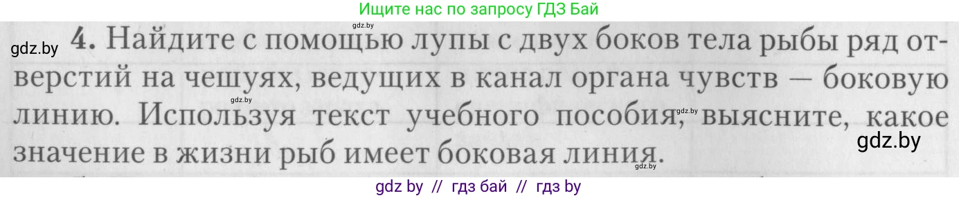 Биология, 8 класс тетрадь для экскусрий, лабораторных и практических работ, автор: Рогожников Олег Николаевич, издательство Сэр-Вит, Минск, 2021, сиреневого цвета, страница 16, номер 4, Условие