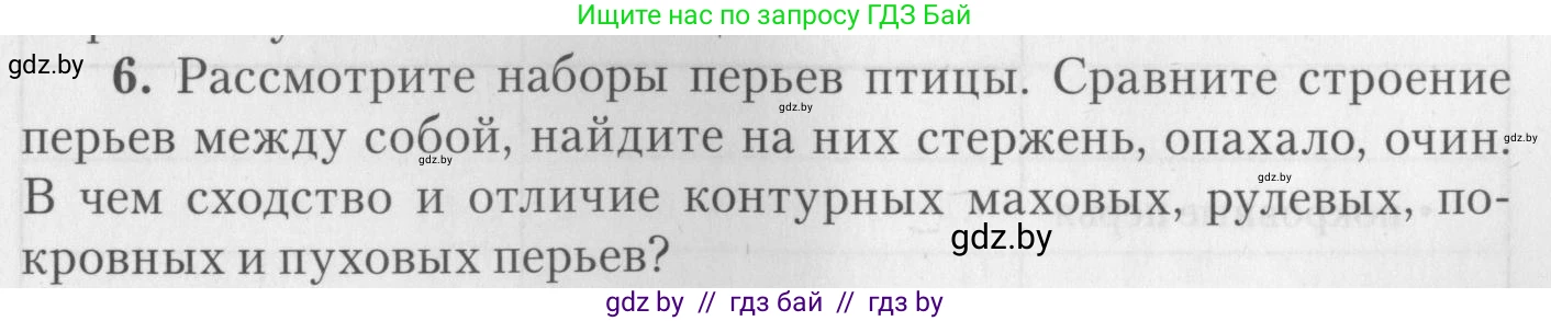 Биология, 8 класс тетрадь для экскусрий, лабораторных и практических работ, автор: Рогожников Олег Николаевич, издательство Сэр-Вит, Минск, 2021, сиреневого цвета, страница 19, номер 6, Условие