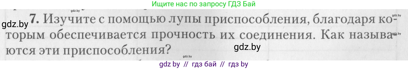 Биология, 8 класс тетрадь для экскусрий, лабораторных и практических работ, автор: Рогожников Олег Николаевич, издательство Сэр-Вит, Минск, 2021, сиреневого цвета, страница 19, номер 7, Условие