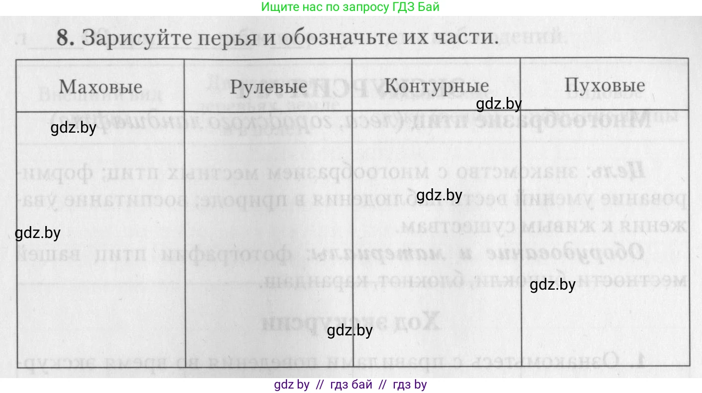 Биология, 8 класс тетрадь для экскусрий, лабораторных и практических работ, автор: Рогожников Олег Николаевич, издательство Сэр-Вит, Минск, 2021, сиреневого цвета, страница 19, номер 8, Условие (продолжение 3)