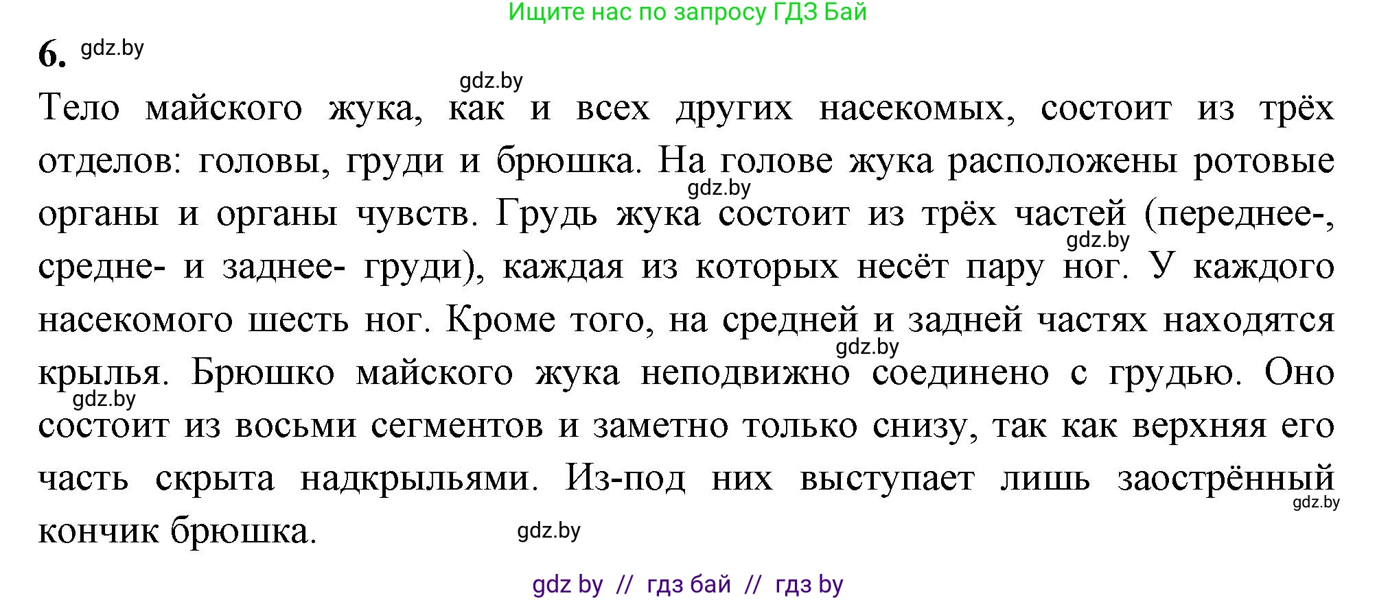 Биология, 8 класс тетрадь для экскусрий, лабораторных и практических работ, автор: Рогожников Олег Николаевич, издательство Сэр-Вит, Минск, 2021, сиреневого цвета, страница 13, номер 6, Решение