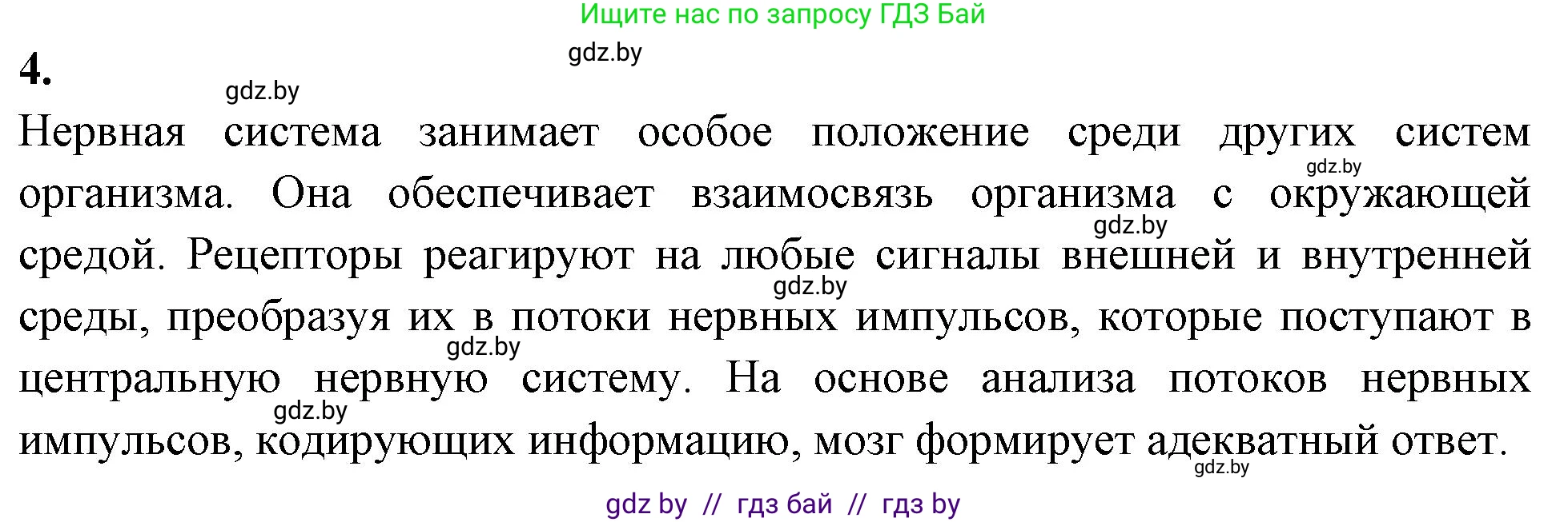 Биология, 9 класс Тетрадь для лабораторных и практических работ, авторы: Борисов Олег Леонидович, Антипенко Алеся Анатольевна, издательство Аверсэв, Минск, 2023, страница 19, номер 4, Решение
