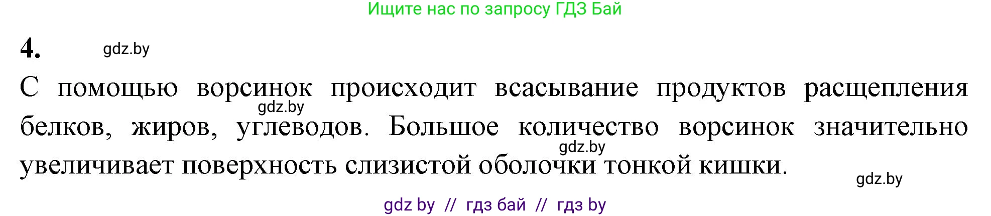 Биология, 9 класс Тетрадь для лабораторных и практических работ, авторы: Борисов Олег Леонидович, Антипенко Алеся Анатольевна, издательство Аверсэв, Минск, 2023, страница 6, номер 4, Решение