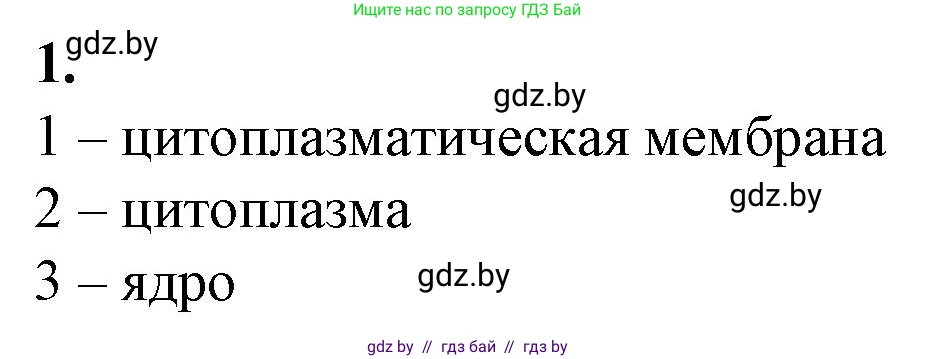 Биология, 9 класс рабочая тетрадь, авторы: Борисов Олег Леонидович, Антипенко Алеся Анатольевна, Мащенко Михаил Васильевич, издательство Аверсэв, Минск, 2019, салатового цвета, страница 4, номер 1, Решение