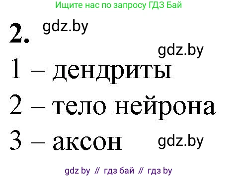 Биология, 9 класс рабочая тетрадь, авторы: Борисов Олег Леонидович, Антипенко Алеся Анатольевна, Мащенко Михаил Васильевич, издательство Аверсэв, Минск, 2019, салатового цвета, страница 15, номер 2, Решение