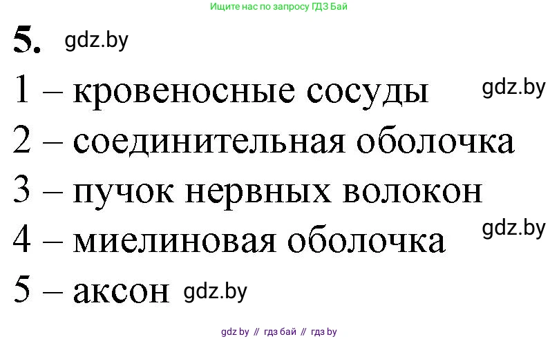 Биология, 9 класс рабочая тетрадь, авторы: Борисов Олег Леонидович, Антипенко Алеся Анатольевна, Мащенко Михаил Васильевич, издательство Аверсэв, Минск, 2019, салатового цвета, страница 16, номер 5, Решение