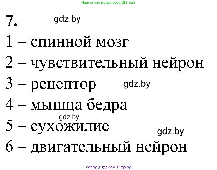 Биология, 9 класс рабочая тетрадь, авторы: Борисов Олег Леонидович, Антипенко Алеся Анатольевна, Мащенко Михаил Васильевич, издательство Аверсэв, Минск, 2019, салатового цвета, страница 16, номер 7, Решение