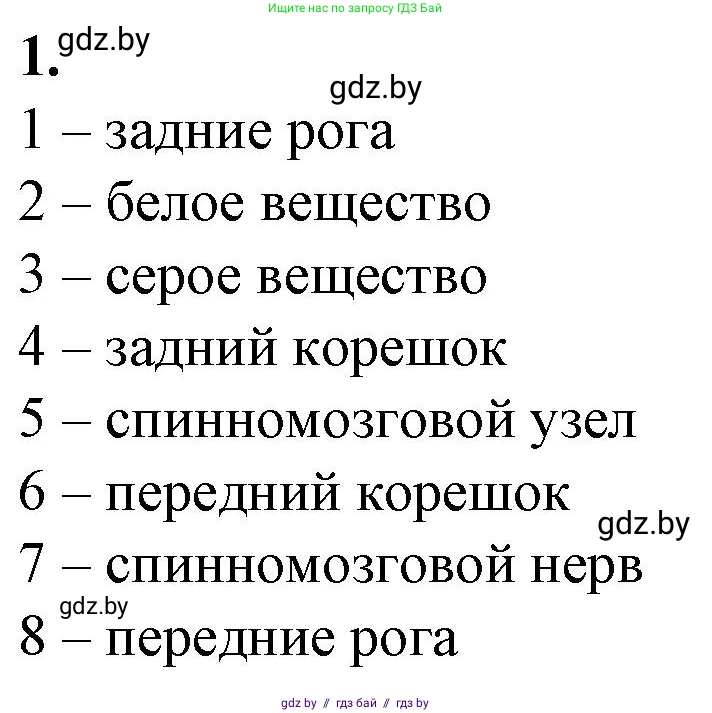 Биология, 9 класс рабочая тетрадь, авторы: Борисов Олег Леонидович, Антипенко Алеся Анатольевна, Мащенко Михаил Васильевич, издательство Аверсэв, Минск, 2019, салатового цвета, страница 18, номер 1, Решение