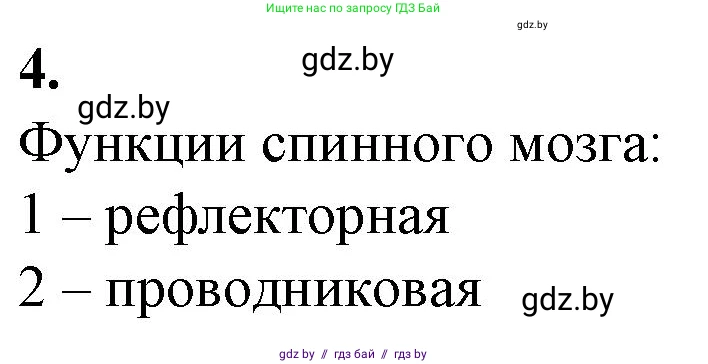 Биология, 9 класс рабочая тетрадь, авторы: Борисов Олег Леонидович, Антипенко Алеся Анатольевна, Мащенко Михаил Васильевич, издательство Аверсэв, Минск, 2019, салатового цвета, страница 19, номер 4, Решение