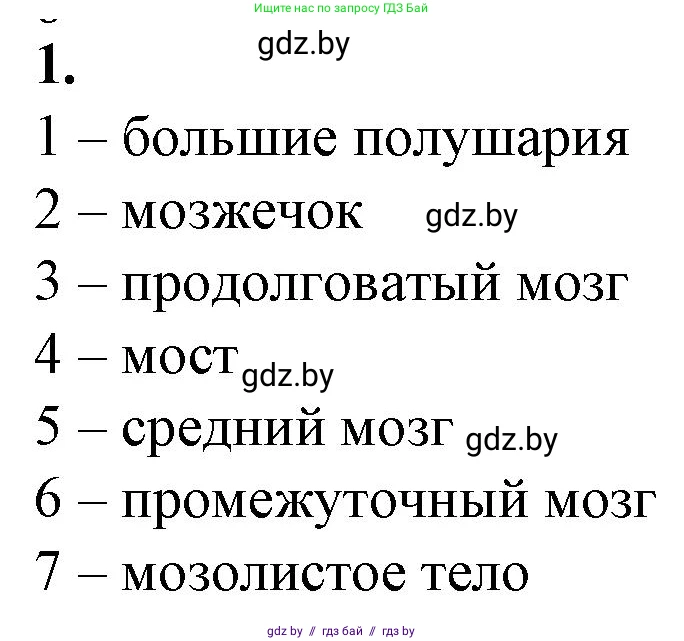 Биология, 9 класс рабочая тетрадь, авторы: Борисов Олег Леонидович, Антипенко Алеся Анатольевна, Мащенко Михаил Васильевич, издательство Аверсэв, Минск, 2019, салатового цвета, страница 19, номер 1, Решение