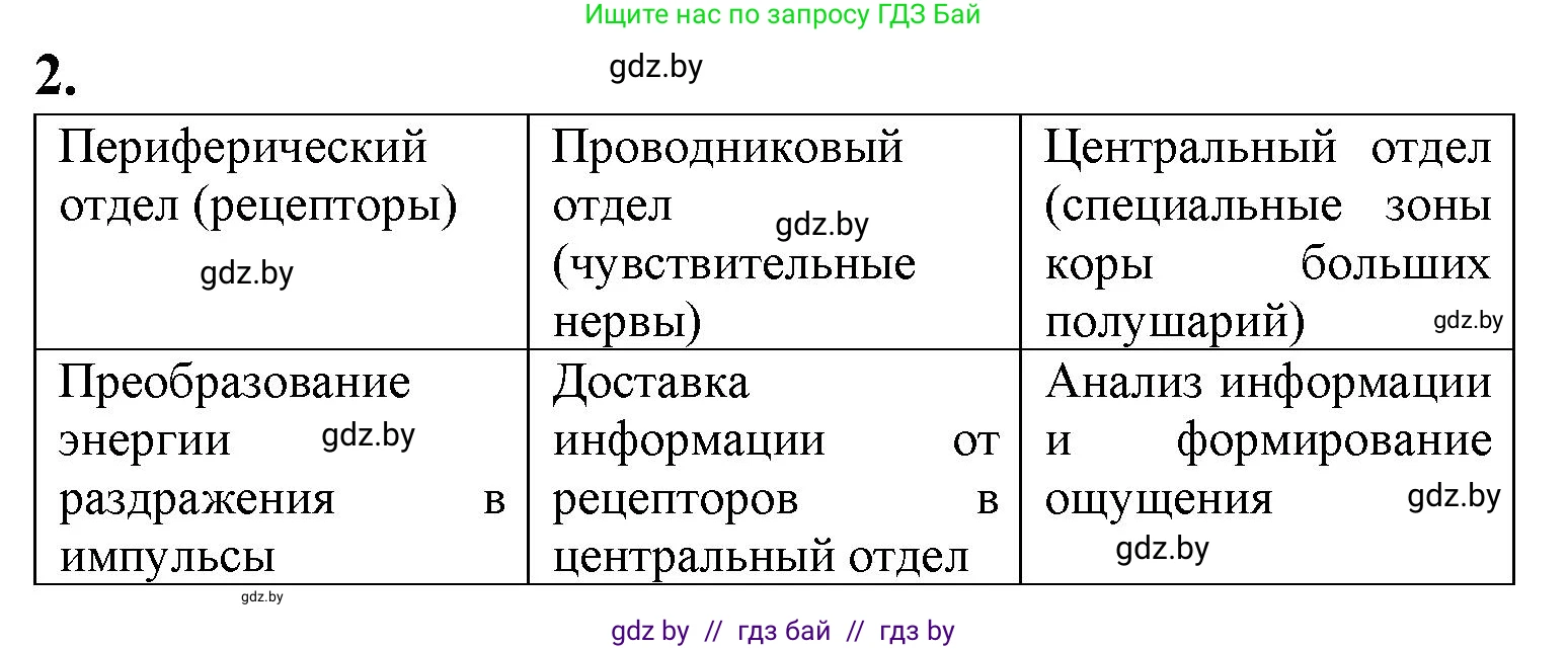 Биология, 9 класс рабочая тетрадь, авторы: Борисов Олег Леонидович, Антипенко Алеся Анатольевна, Мащенко Михаил Васильевич, издательство Аверсэв, Минск, 2019, салатового цвета, страница 24, номер 2, Решение