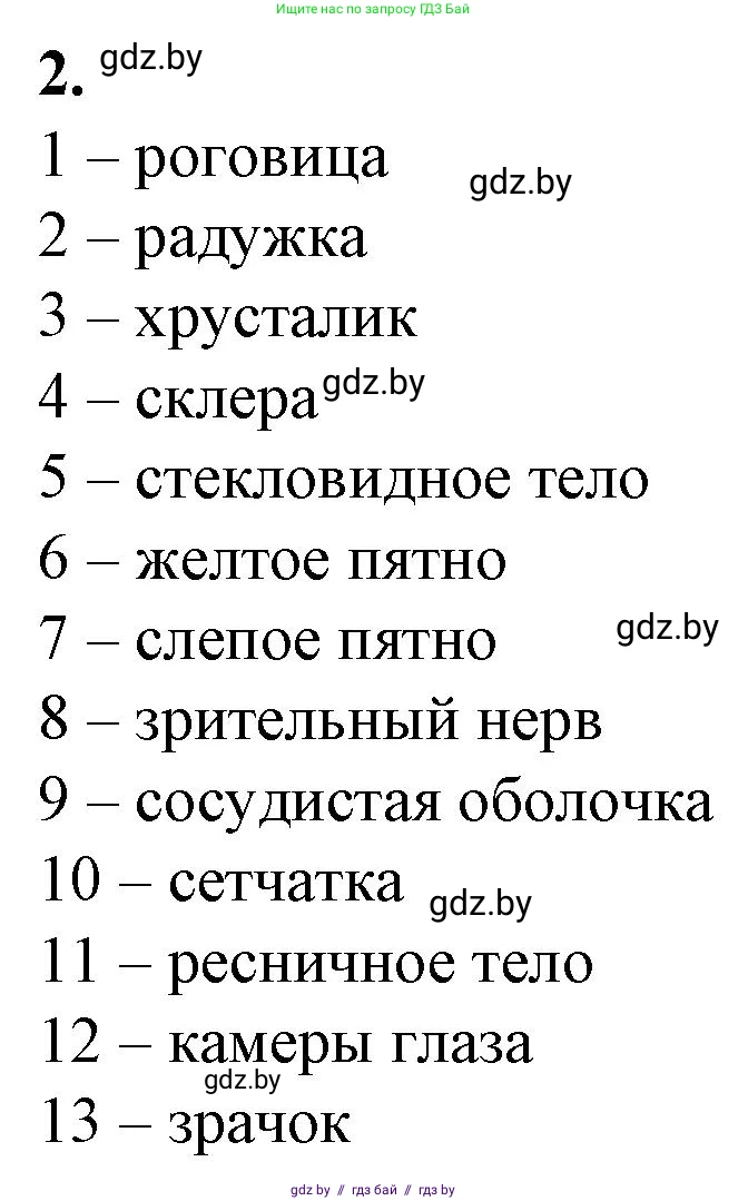 Биология, 9 класс рабочая тетрадь, авторы: Борисов Олег Леонидович, Антипенко Алеся Анатольевна, Мащенко Михаил Васильевич, издательство Аверсэв, Минск, 2019, салатового цвета, страница 25, номер 2, Решение