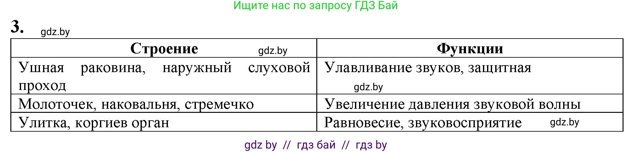 Биология, 9 класс рабочая тетрадь, авторы: Борисов Олег Леонидович, Антипенко Алеся Анатольевна, Мащенко Михаил Васильевич, издательство Аверсэв, Минск, 2019, салатового цвета, страница 31, номер 3, Решение