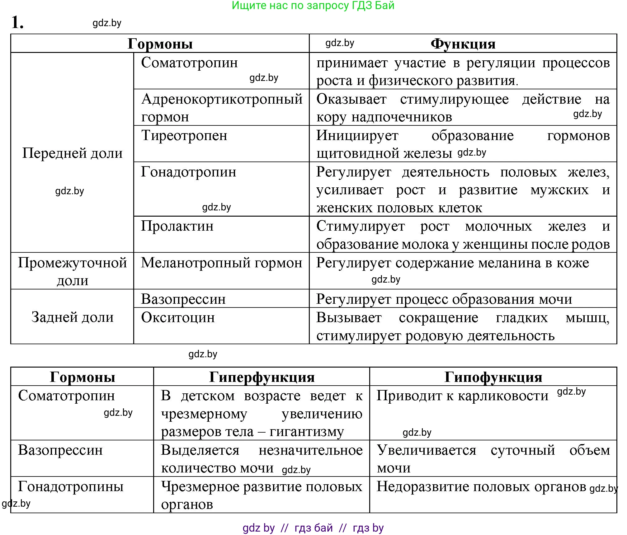 Биология, 9 класс рабочая тетрадь, авторы: Борисов Олег Леонидович, Антипенко Алеся Анатольевна, Мащенко Михаил Васильевич, издательство Аверсэв, Минск, 2019, салатового цвета, страница 36, Решение