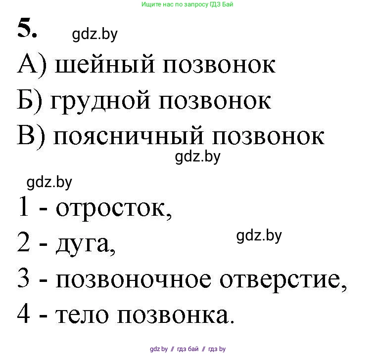 Биология, 9 класс рабочая тетрадь, авторы: Борисов Олег Леонидович, Антипенко Алеся Анатольевна, Мащенко Михаил Васильевич, издательство Аверсэв, Минск, 2019, салатового цвета, страница 42, номер 5, Решение