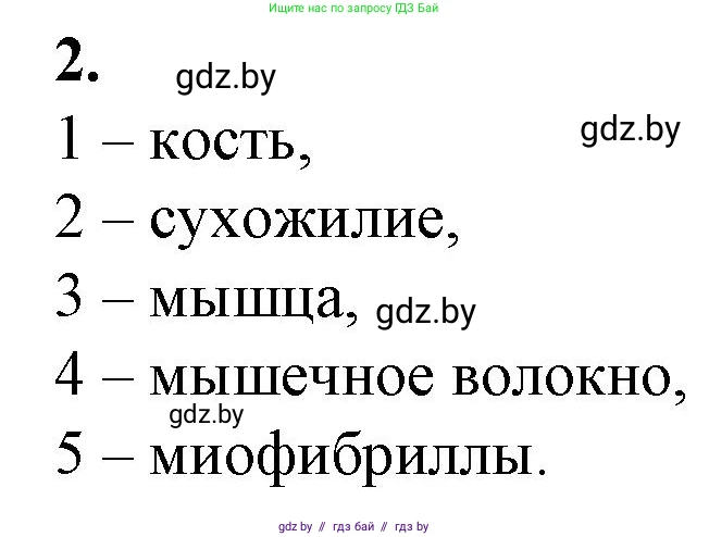 Биология, 9 класс рабочая тетрадь, авторы: Борисов Олег Леонидович, Антипенко Алеся Анатольевна, Мащенко Михаил Васильевич, издательство Аверсэв, Минск, 2019, салатового цвета, страница 46, номер 2, Решение