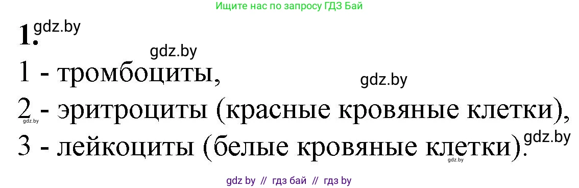 Биология, 9 класс рабочая тетрадь, авторы: Борисов Олег Леонидович, Антипенко Алеся Анатольевна, Мащенко Михаил Васильевич, издательство Аверсэв, Минск, 2019, салатового цвета, страница 51, номер 1, Решение