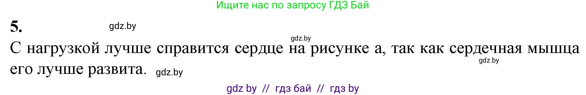 Биология, 9 класс рабочая тетрадь, авторы: Борисов Олег Леонидович, Антипенко Алеся Анатольевна, Мащенко Михаил Васильевич, издательство Аверсэв, Минск, 2019, салатового цвета, страница 60, номер 5, Решение