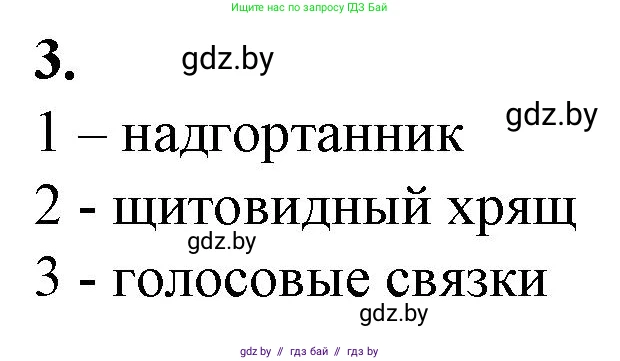 Биология, 9 класс рабочая тетрадь, авторы: Борисов Олег Леонидович, Антипенко Алеся Анатольевна, Мащенко Михаил Васильевич, издательство Аверсэв, Минск, 2019, салатового цвета, страница 69, номер 3, Решение