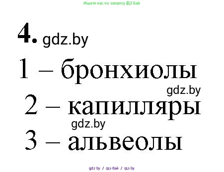 Биология, 9 класс рабочая тетрадь, авторы: Борисов Олег Леонидович, Антипенко Алеся Анатольевна, Мащенко Михаил Васильевич, издательство Аверсэв, Минск, 2019, салатового цвета, страница 69, номер 4, Решение