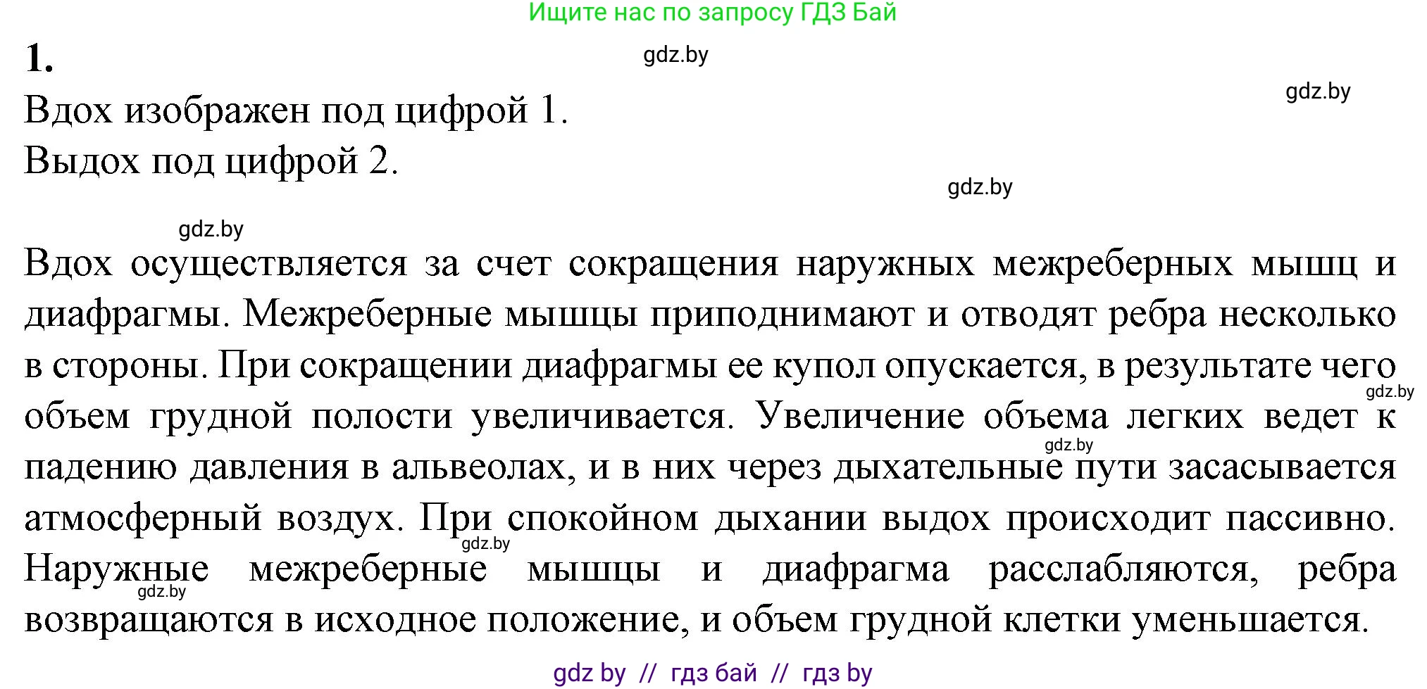 Биология, 9 класс рабочая тетрадь, авторы: Борисов Олег Леонидович, Антипенко Алеся Анатольевна, Мащенко Михаил Васильевич, издательство Аверсэв, Минск, 2019, салатового цвета, страница 70, номер 1, Решение