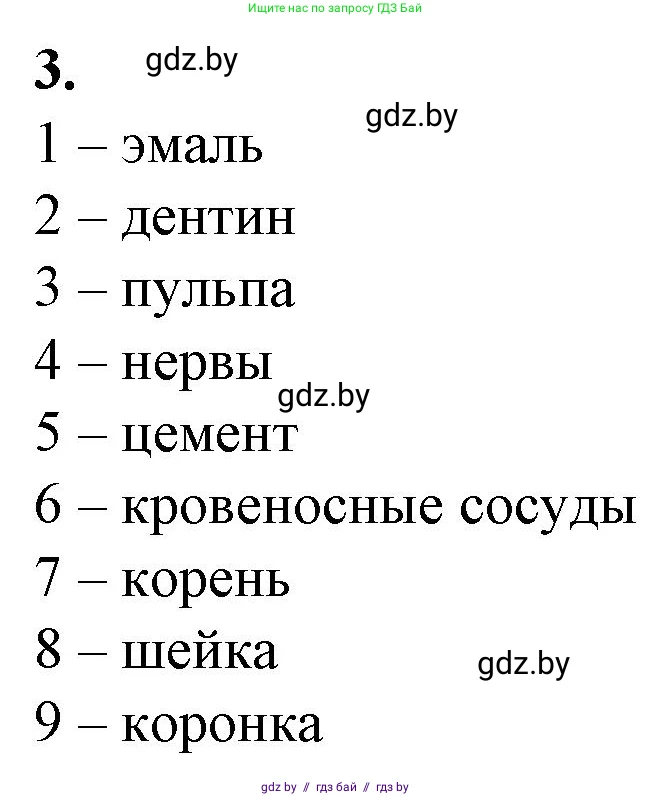 Биология, 9 класс рабочая тетрадь, авторы: Борисов Олег Леонидович, Антипенко Алеся Анатольевна, Мащенко Михаил Васильевич, издательство Аверсэв, Минск, 2019, салатового цвета, страница 85, номер 3, Решение