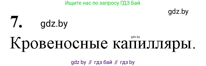 Биология, 9 класс рабочая тетрадь, авторы: Борисов Олег Леонидович, Антипенко Алеся Анатольевна, Мащенко Михаил Васильевич, издательство Аверсэв, Минск, 2019, салатового цвета, страница 89, номер 7, Решение