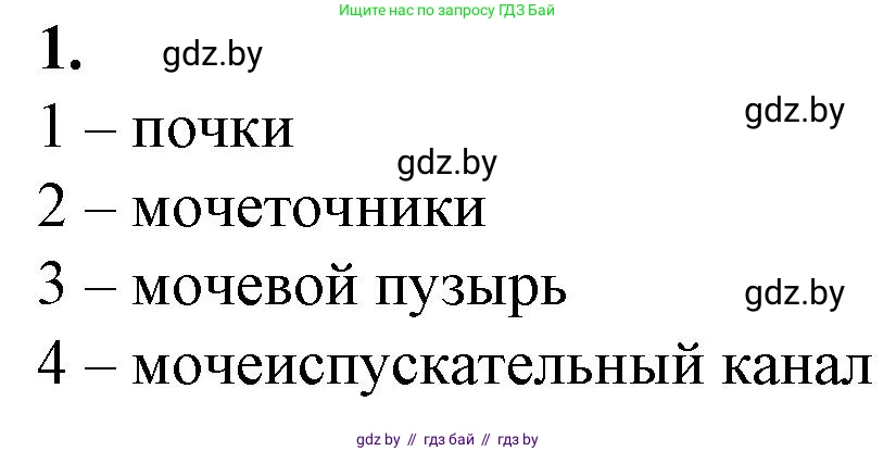 Биология, 9 класс рабочая тетрадь, авторы: Борисов Олег Леонидович, Антипенко Алеся Анатольевна, Мащенко Михаил Васильевич, издательство Аверсэв, Минск, 2019, салатового цвета, страница 92, номер 1, Решение