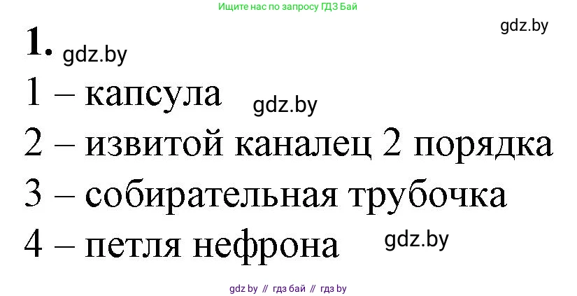 Биология, 9 класс рабочая тетрадь, авторы: Борисов Олег Леонидович, Антипенко Алеся Анатольевна, Мащенко Михаил Васильевич, издательство Аверсэв, Минск, 2019, салатового цвета, страница 93, номер 1, Решение