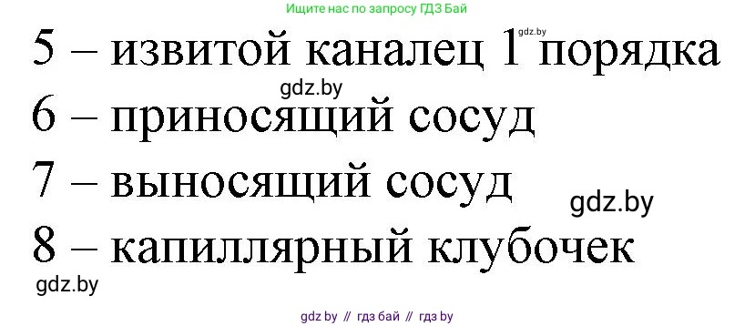 Биология, 9 класс рабочая тетрадь, авторы: Борисов Олег Леонидович, Антипенко Алеся Анатольевна, Мащенко Михаил Васильевич, издательство Аверсэв, Минск, 2019, салатового цвета, страница 93, номер 1, Решение (продолжение 2)
