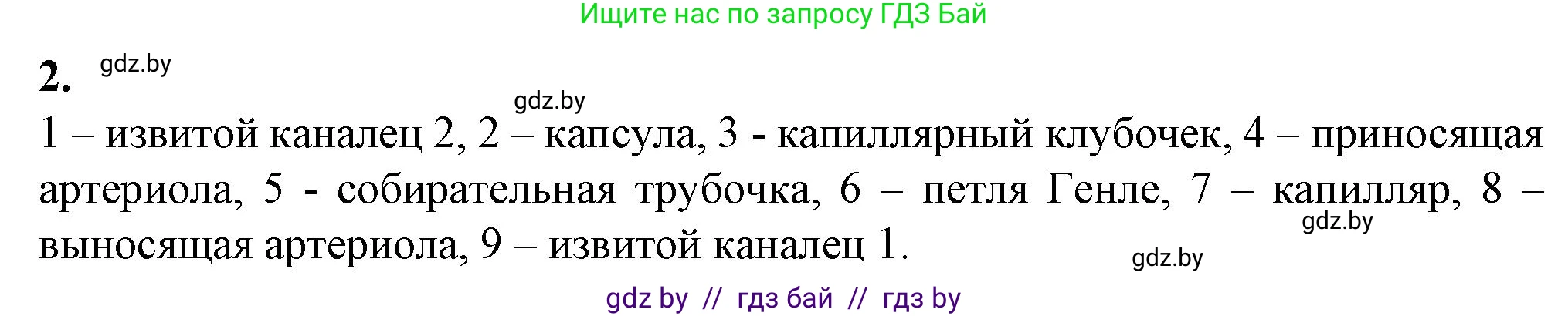 Биология, 9 класс рабочая тетрадь, авторы: Борисов Олег Леонидович, Антипенко Алеся Анатольевна, Мащенко Михаил Васильевич, издательство Аверсэв, Минск, 2019, салатового цвета, страница 93, номер 2, Решение